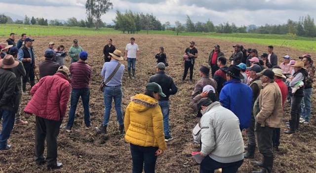 La Secretaría del Agrocampesinado fortalece la alimentación del ganado con bancos de forrajes. La iniciativa incluye la entrega de maquinaria especializada y la siembra de pastos mejorados.