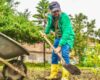 En una apuesta por la sostenibilidad, se han sembrado más de 100 mil árboles nativos en Bogotá como parte de un ambicioso plan de restauración que busca proteger su biodiversidad y ecosistemas urbanos.