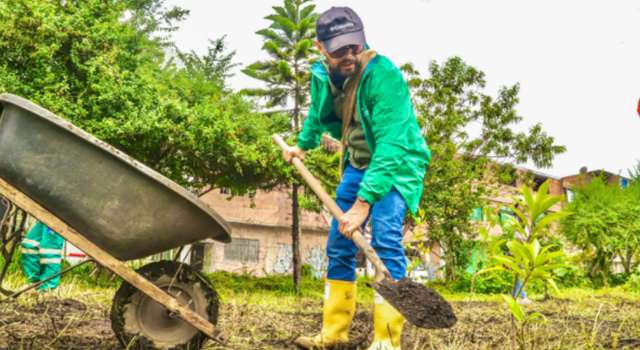 En una apuesta por la sostenibilidad, se han sembrado más de 100 mil árboles nativos en Bogotá como parte de un ambicioso plan de restauración que busca proteger su biodiversidad y ecosistemas urbanos.