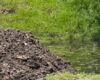 Una volqueta fue sorprendida en plena descarga ilegal de escombros en zona rural de Cundinamarca. La rápida reacción de la comunidad permitió la intervención de la CAR.