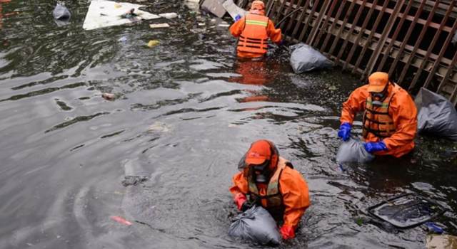 Los humedales de Bogotá están en riesgo. Más de 3.700 toneladas de residuos han sido retiradas en el último año, una señal alarmante del abandono y la contaminación que amenaza estos ecosistemas vitales.