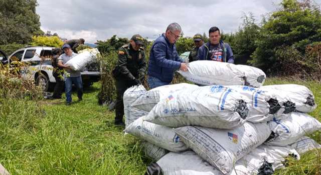 Una alerta encendió las alarmas en una zona rural de Cundinamarca. Detrás de árboles talados las autoridades descubrieron lo que parecía una nueva pista sobre la persistente producción ilegal de carbón