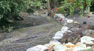 La alerta por lluvias en Cundinamarca llevó a la CAR a desplegar un plan de respuesta inmediata. Con maquinaria, barreras de contención y monitoreo constante, se busca reducir el riesgo en zonas vulnerables.