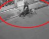 Un caso de robo en Bogotá ha generado preocupación en la comunidad: un ladrón utilizó a un perro como herramienta de ataque para someter a su víctima y facilitar el hurto.
