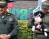 Un acto de crueldad terminó con un final esperanzador cuando la Policía halló a un peludito abandonado en Cundinamarca. La rápida reacción de los uniformados cambió el destino del cachorro.