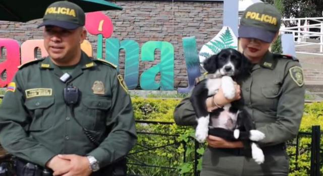 Un acto de crueldad terminó con un final esperanzador cuando la Policía halló a un peludito abandonado en Cundinamarca. La rápida reacción de los uniformados cambió el destino del cachorro.