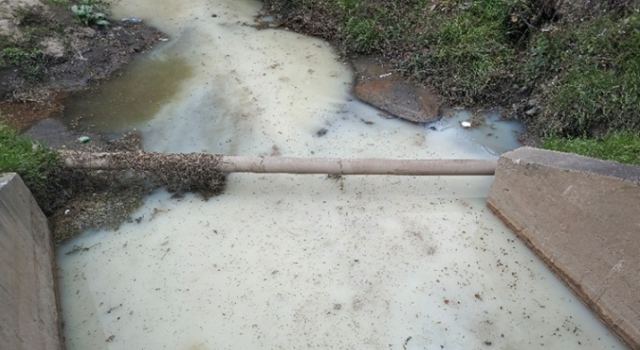 Una empresa láctea sancionada en Cajicá quedó en la mira después de que vecinos reportaran fuertes olores y aguas blanquecinas en una quebrada.