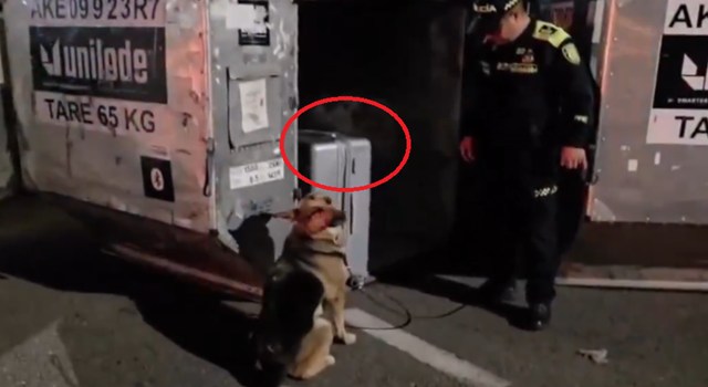 Un hallazgo clave para frenar el narcotráfico fue posible gracias a una perrita entrenada que detectó una maleta abandonada con más de 28 kilos de cocaína en El Dorado.