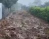 Las fuertes lluvias en Viotá han desbordado las quebradas La Pilama y San Juan, causando severas inundaciones y deslizamientos de tierra que están afectando a varias familias del municipio.