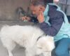 Una denuncia ciudadana permitió el rescate de un perro en el sur de Bogotá. El hallazgo evidenció el grave estado de abandono en que se encontraba.