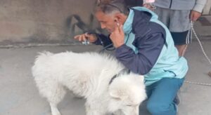 Una denuncia ciudadana permitió el rescate de un perro en el sur de Bogotá. El hallazgo evidenció el grave estado de abandono en que se encontraba.