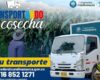 Una nueva estrategia de transporte en Cundinamarca busca transformar el campo y llevar las cosechas de pequeños productores a nuevos mercados, superando barreras logísticas.