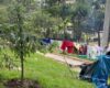 El Jardín Botánico de Bogotá lanzó una grave advertencia sobre el impacto ambiental que está afectando el Parque Nacional. Lo que empezó como un campamento improvisado hoy pone en riesgo árboles centenarios