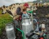 El apoyo económico en Bogotá está llegando a quienes trabajan la tierra, pero aún son pocos los que conocen cómo acceder a esta oportunidad.