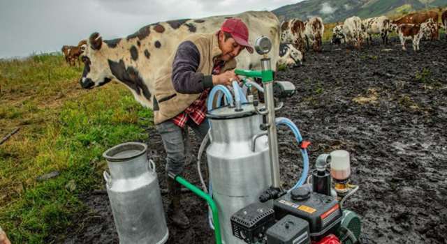 El apoyo económico en Bogotá está llegando a quienes trabajan la tierra, pero aún son pocos los que conocen cómo acceder a esta oportunidad.