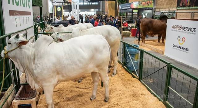 El campo dejó de ser solo tierra y cultivo: ahora es tecnología, ciencia y motor económico. Agroexpo 2025 llega a Bogotá para mostrar cómo el agro colombiano está revolucionando al país desde la raíz.