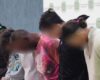 La Secretaría de Seguridad logró desarticular a ‘Los Patas’, una banda que operaba en diversos puntos y que estaría detrás del asesinato de dos jóvenes líderes culturales en Bosa.