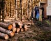 En medio de las preocupaciones por el alto consumo de madera ilegal en el país, Cundinamarca apuesta por una alianza inédita con regiones como la Amazonía para garantizar el suministro desde fuentes sostenibles.