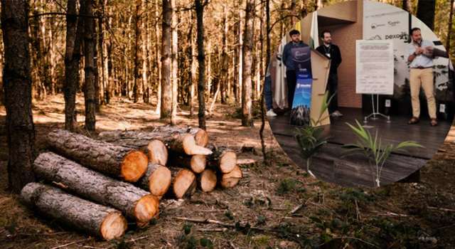 En medio de las preocupaciones por el alto consumo de madera ilegal en el país, Cundinamarca apuesta por una alianza inédita con regiones como la Amazonía para garantizar el suministro desde fuentes sostenibles.