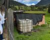 Vertimientos sin control, olores ofensivos y estructuras deterioradas llevaron a la suspensión de una actividad porcícola en Cundinamarca.