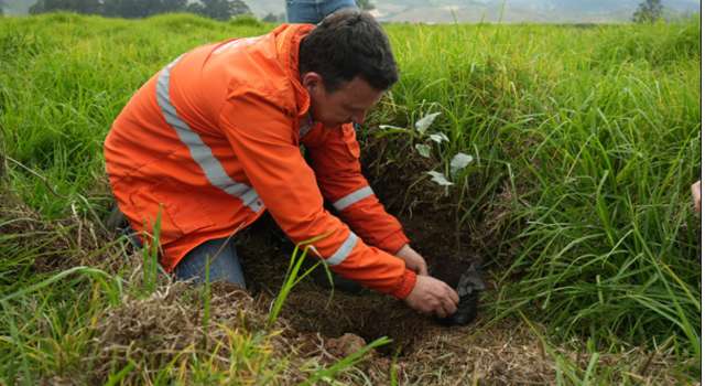 La Empresa de Acueducto y Alcantarillado de Bogotá comenzó la plantación de miles de especies nativas como parte de una estrategia ambiental en los terrenos donde se construirá la PTAR Canoas