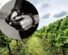 Un operativo en Cundinamarca permitió frustrar el plan de dos hombres que irrumpieron armados en una finca, exigieron las escrituras del predio y pretendían cobrar una millonaria deuda forzada.