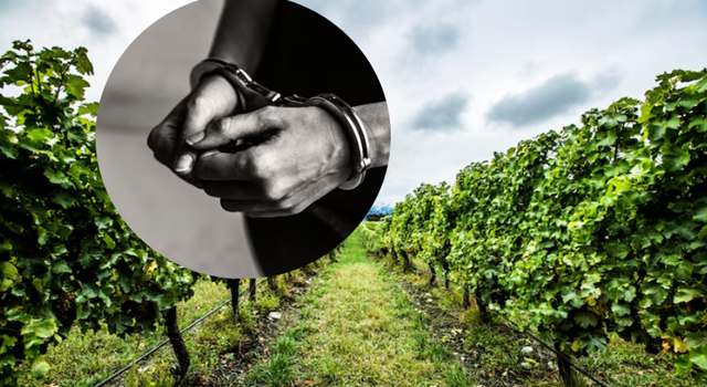 Un operativo en Cundinamarca permitió frustrar el plan de dos hombres que irrumpieron armados en una finca, exigieron las escrituras del predio y pretendían cobrar una millonaria deuda forzada.