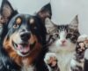 Una nueva jornada de esterilizaciones gratuitas comenzará este 10 de junio en la Universidad Nacional de Bogotá. Más de 6.000 turnos estarán disponibles para dueños de mascotas y animales en condición de calle.