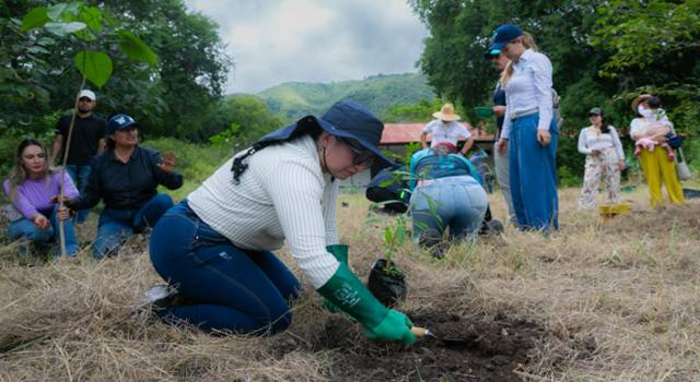 Con más de mil individuos vegetales, la CAR presentó su primera estación para conservar especies del amenazado ecosistema de bosque seco tropical, uno de los más deteriorados de Cundinamarca.