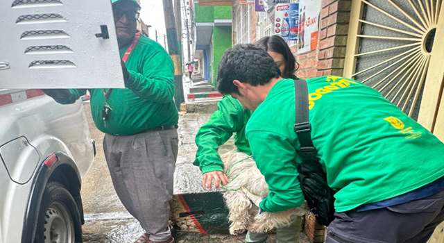 El caso fue descubierto al sur de Bogotá, tras una denuncia ciudadana. El perro vivía en condiciones precarias, sin atención médica ni alimento suficiente, y se convirtió en un nuevo ejemplo del maltrato animal en la ciudad.