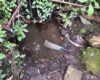 La CAR detectó sistemas irregulares de captación ilegal de agua en Cundinamarca, afectando fuentes hídricas protegidas. Las intervenciones buscan proteger el ecosistema y evitar el desabastecimiento en zonas vulnerables.