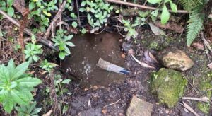 La CAR detectó sistemas irregulares de captación ilegal de agua en Cundinamarca, afectando fuentes hídricas protegidas. Las intervenciones buscan proteger el ecosistema y evitar el desabastecimiento en zonas vulnerables.