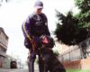 Adiós a los perros de vigilancia en a Secretaría de Salud de Bogotá