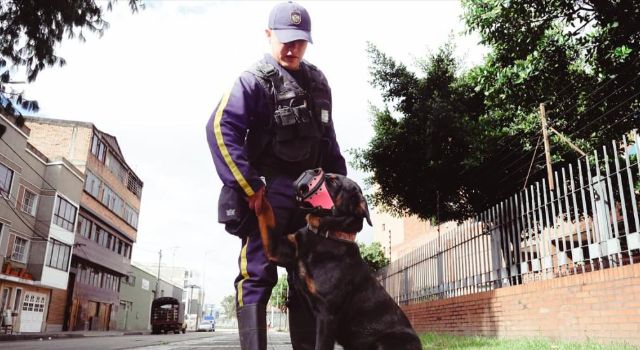 Adiós a los perros de vigilancia en a Secretaría de Salud de Bogotá