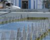 A tomar agua del río Bogotá, se puso en marcha nueva obra en la PTAP Tibitoc