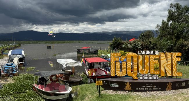 CAR retiró buchón de la laguna de Fúquene y lo dispuso para abono: así es el proceso