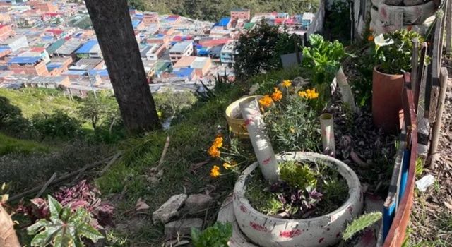 En Ciudad Bolívar, la juventud cultiva alimentos, sueños y futuro