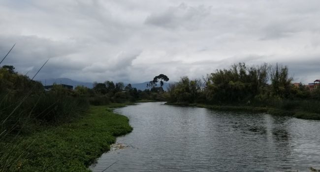 Lo reportaron como desaparecido y apareció sin vida en un humedal de Bogotá