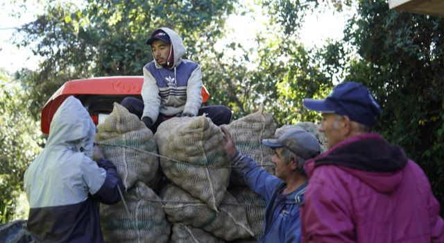 Que los paperos cundinamarqueses no lleven del bulto: 900 toneladas fueron compradas a los campesinos