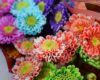 Mercado barato y flores para Amor y Amistad en Bogotá, ¿dónde comprar?
