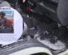El colmo: rompieron el vidrio de un vehículo y se llevaron un perro