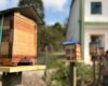 ‘Hoteles’ para abejas en Cundinamarca, ya son 11 los instalados