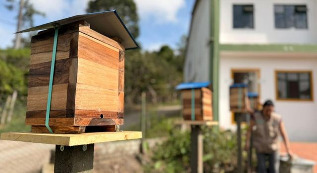 ‘Hoteles’ para abejas en Cundinamarca, ya son 11 los instalados