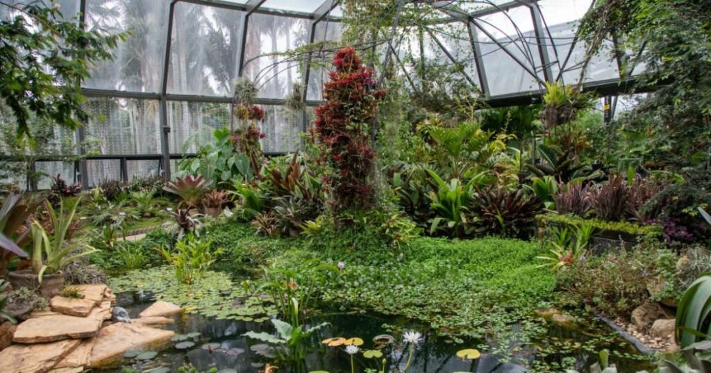 La razón por la que expertos de toda Sudamérica se reúnen en el Jardín Botánico de Bogotá