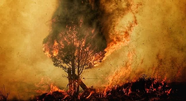 Alerta en Cundinamarca por incendios forestales, autoridades hacen urgente llamado
