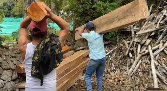 Operativos ambientales dejan decomisos en tres municipios de Cundinamarca