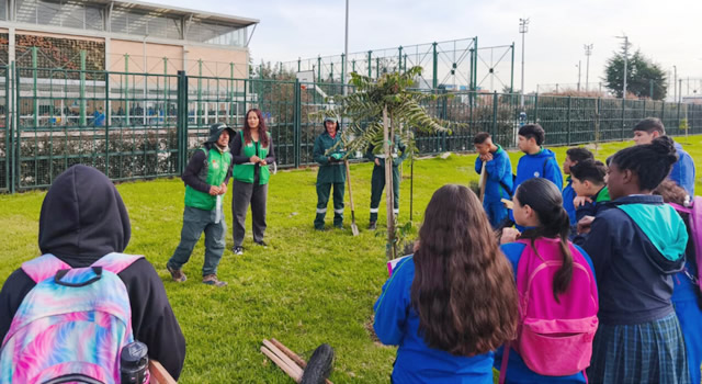 Estrategia para mantener vivos los árboles sembrados en parque de Bosa