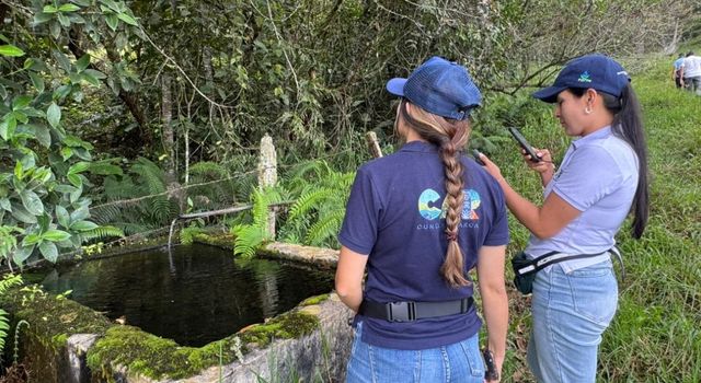 Daño ambiental en Cundinamarca: arrojan 25 mil litros de porquinaza líquida a fuente hídrica