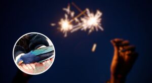 Más de mil reportes por afectaciones a animales dejó la pólvora en Bogotá