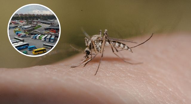 VIDEO | Viajar sin vacunarse dejó tres muertos en Bogotá: autoridades anuncian controles